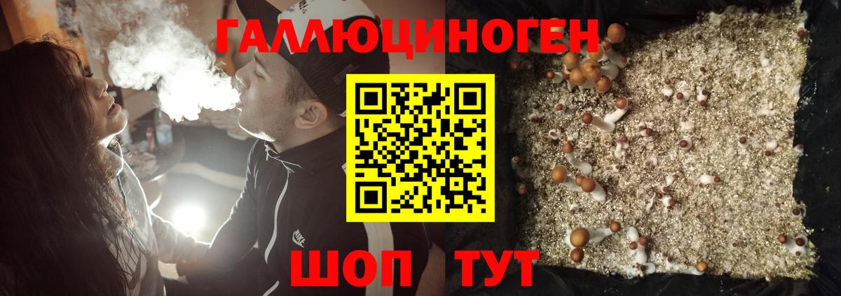 Ханты-Мансийск  Псилоцибиновые грибы ЛСД  Вход с VPN 